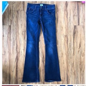 Hudson Flare Jeans
